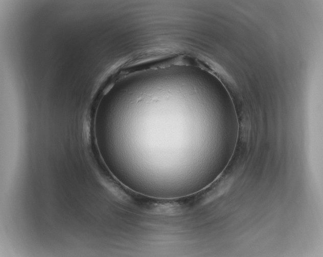 X0000110910446200906251401