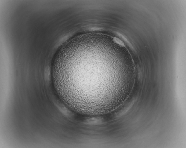 X0000110910447200906251401