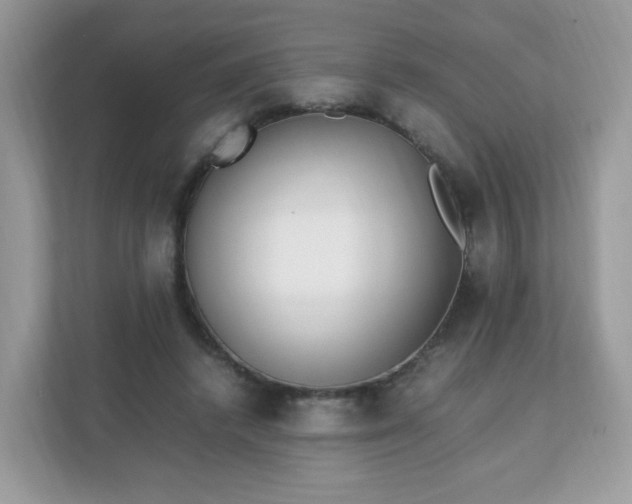 X0000110910448200906251401