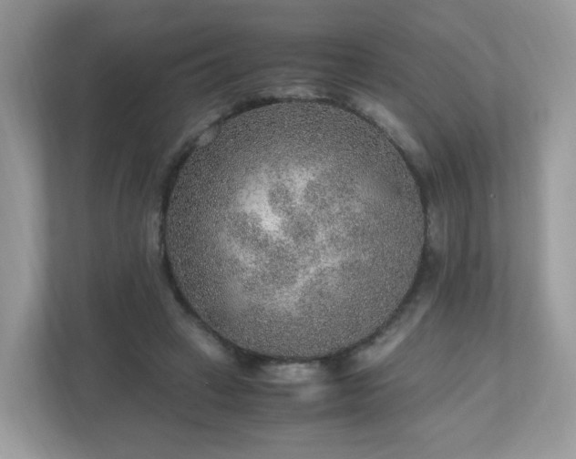 X0000110910449200906251401