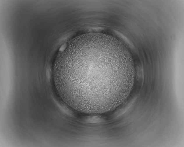 X0000110910451200906251401