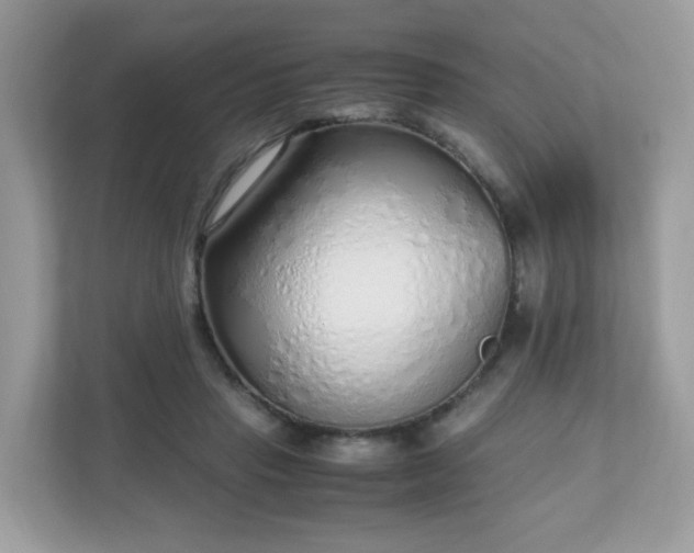 X0000110910453200906251401