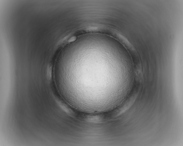 X0000110910454200906251401