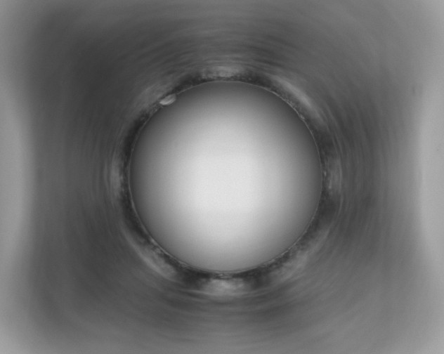 X0000110910455200906251401