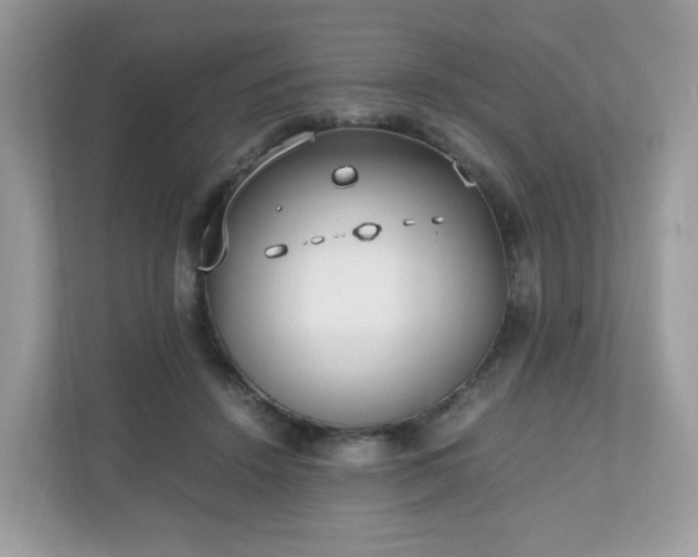 X0000110910456200906251401