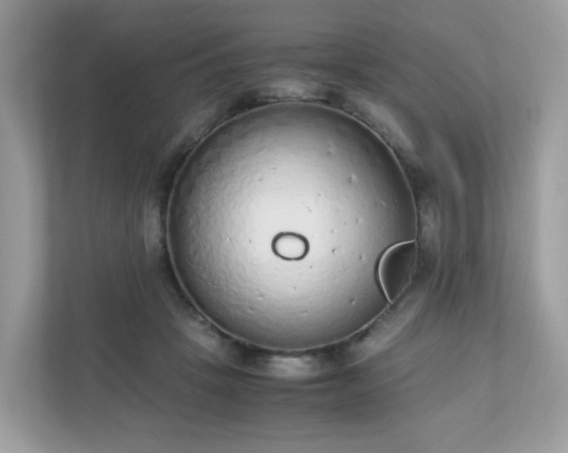 X0000110910457200906251401