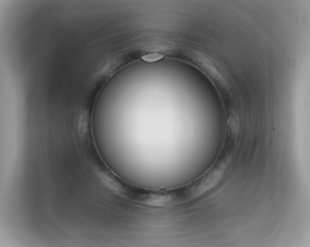 X0000110910458200906251401