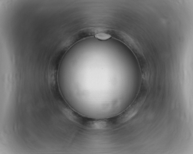 X0000110910462200906251401