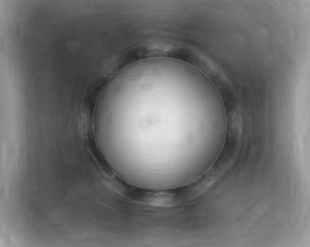 X0000110910463200906251401