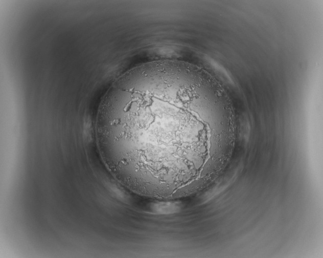 X0000110910465200906251401