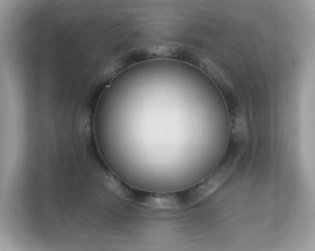 X0000110910466200906251401