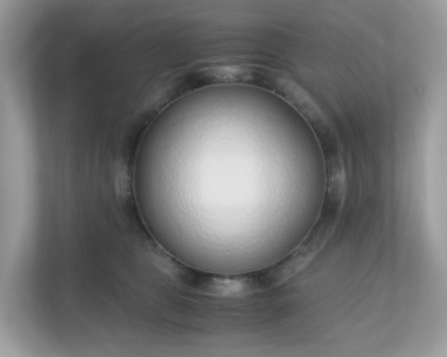 X0000110910469200906251401