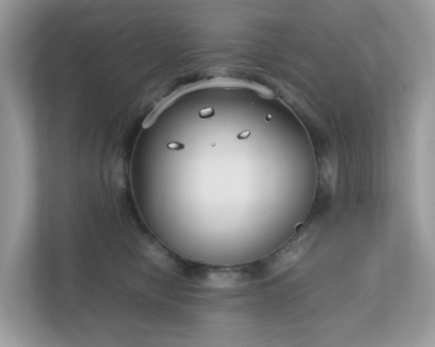 X0000110910470200906251401