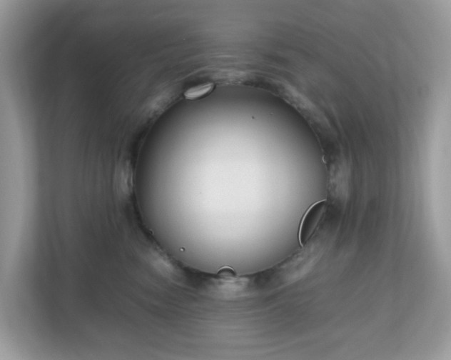 X0000110910474200906251401