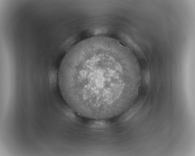 X0000110910475200906251401