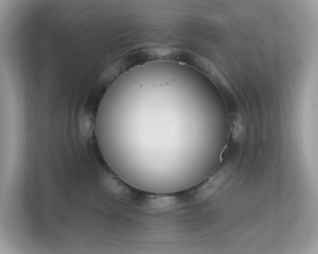 X0000110910476200906251401