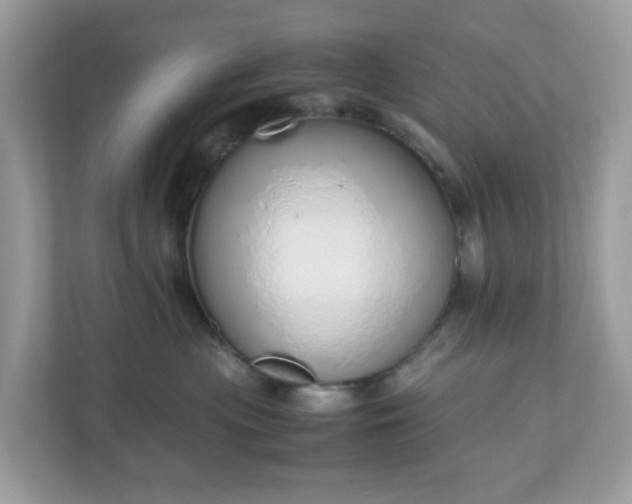 X0000110910477200906251401