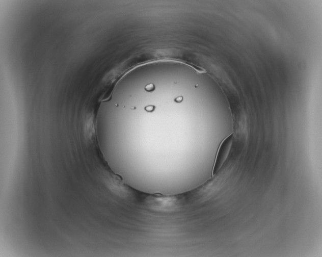 X0000110910478200906251401