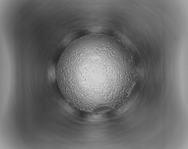 X0000110910479200906251401