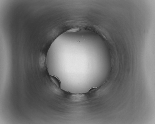 X0000110910480200906251401