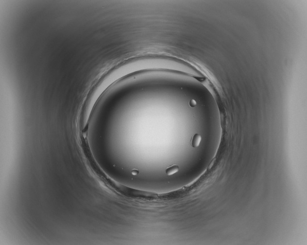 X0000110910485200906251400