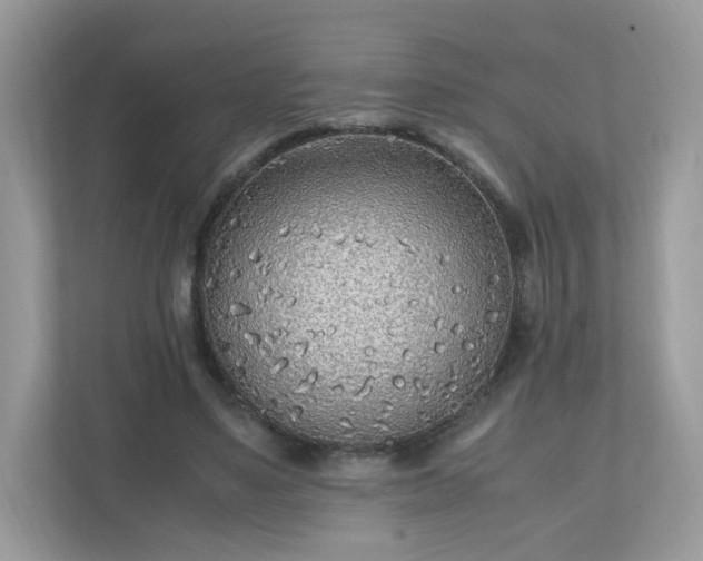 X0000110910491200906251400