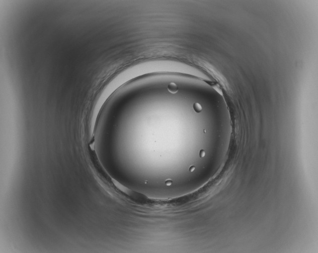 X0000110910493200906251400