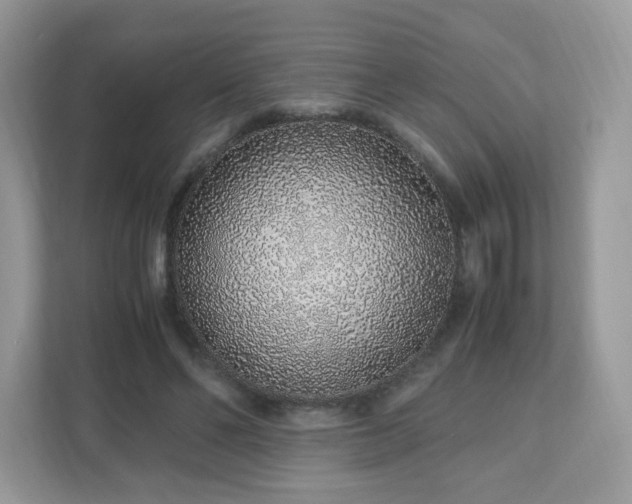 X0000110910494200906251400