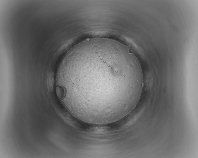 X0000110910495200906251400