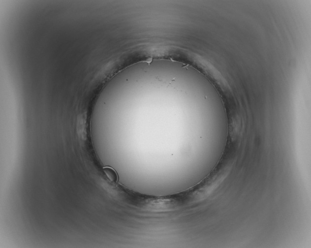 X0000110910497200906251400