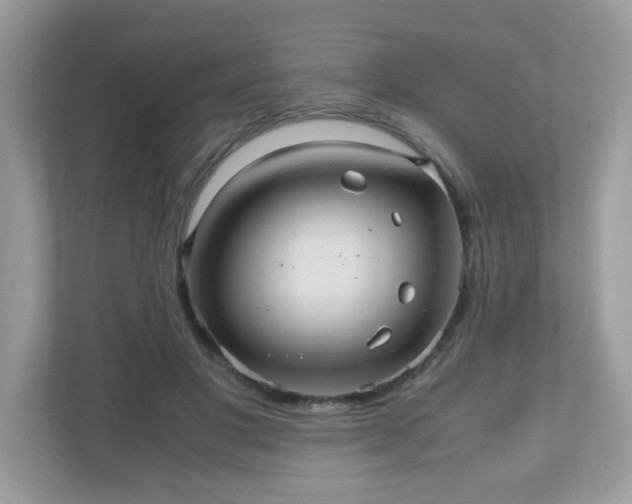 X0000110910501200906251400