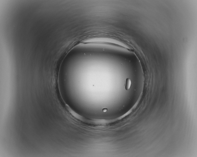 X0000110910505200906251400