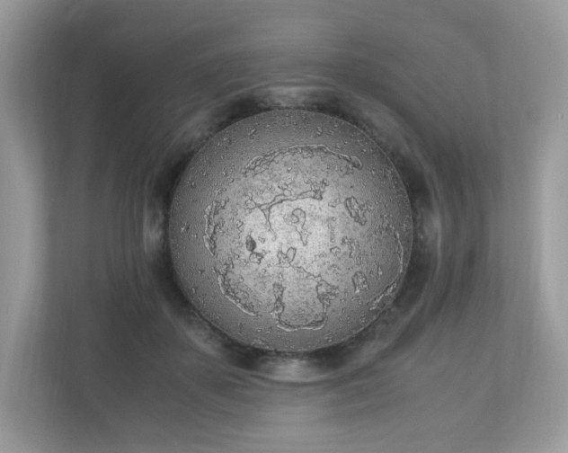 X0000110910507200906251400