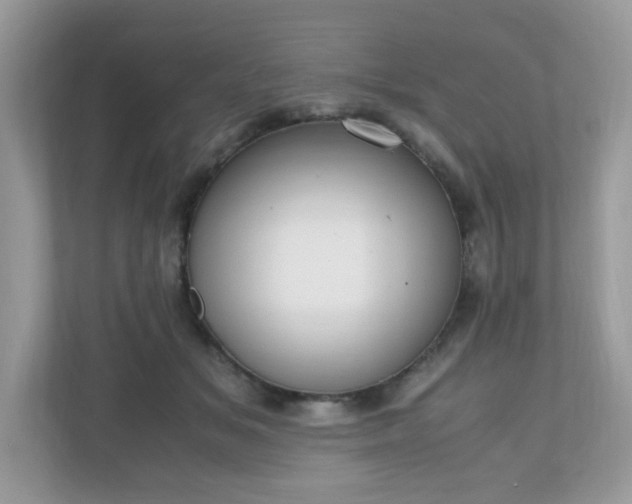 X0000110910509200906251400