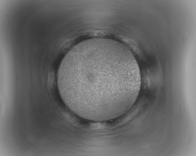 X0000110910511200906251400