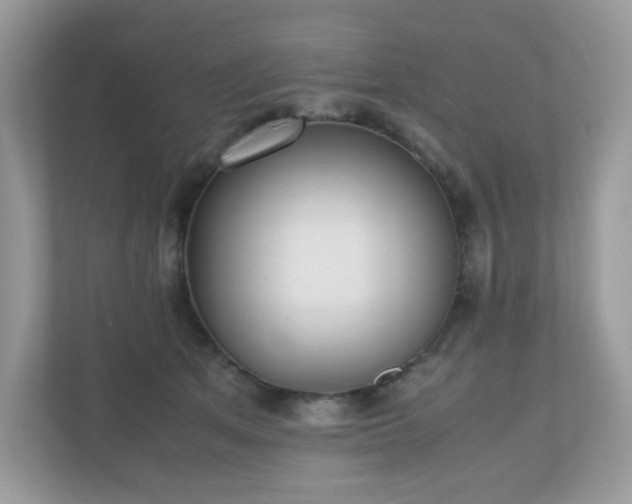 X0000110910513200906251400