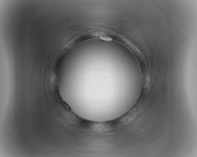 X0000110910521200906251400