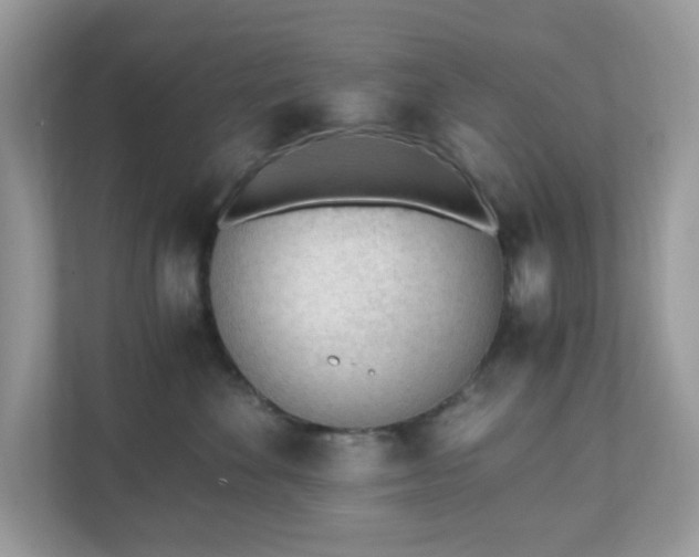 X0000110910524200906251400