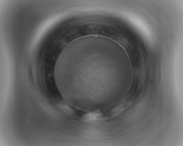 X0000110910526200906251400