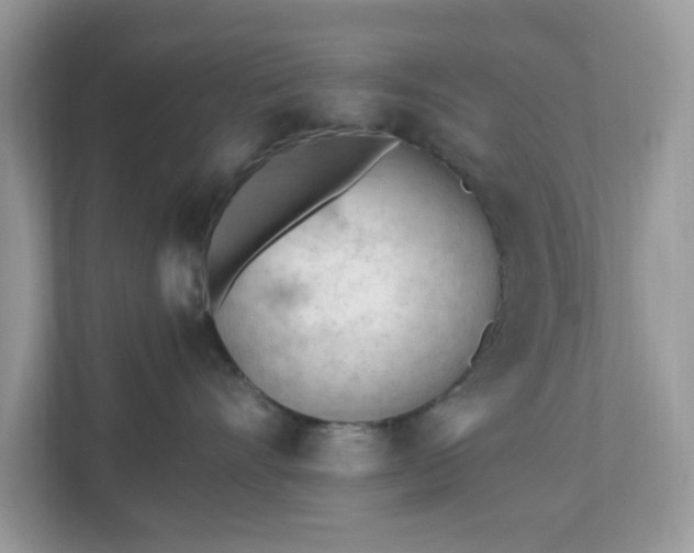 X0000110910528200906251400