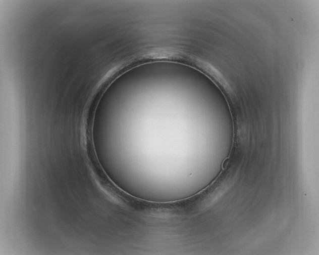 X0000110910530200906251359