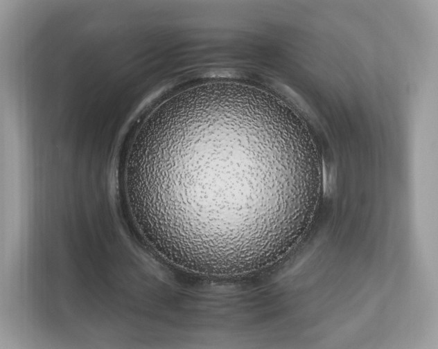 X0000110910531200906251359