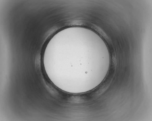 X0000110910534200906251359