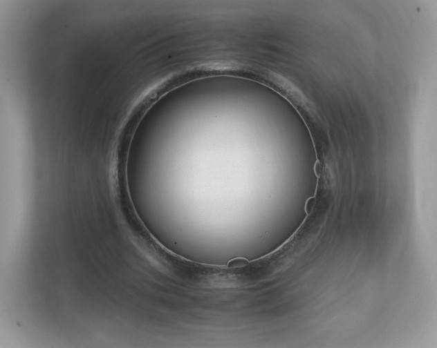 X0000110910535200906251359