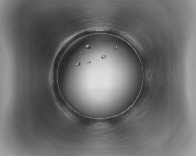 X0000110910536200906251359