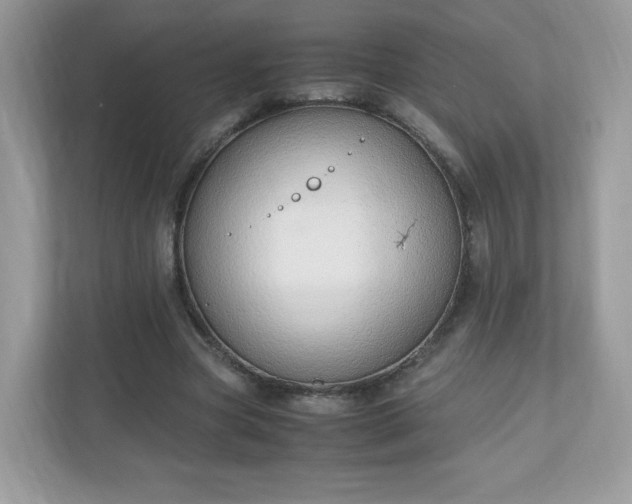 X0000110910537200906251359