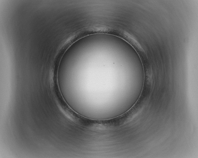 X0000110910538200906251359