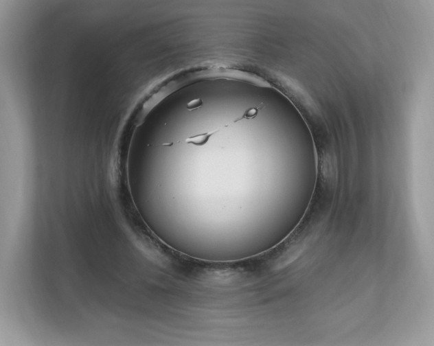 X0000110910540200906251359