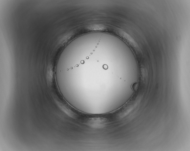 X0000110910541200906251359