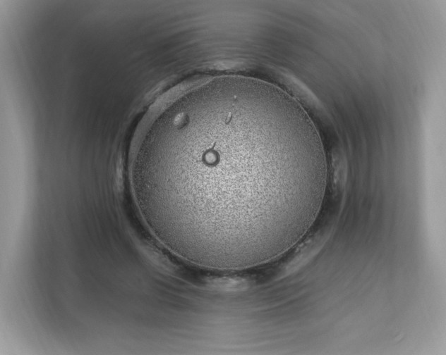 X0000110910542200906251359